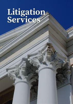 Litigation Services